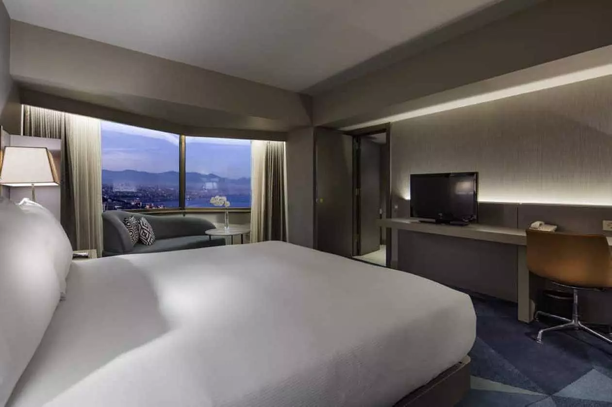 hilton_shabaviz (10).jpg